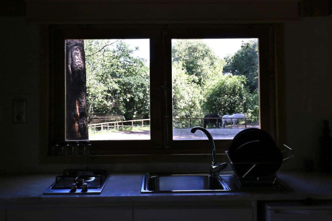 Quinta Do Castro Wood House *