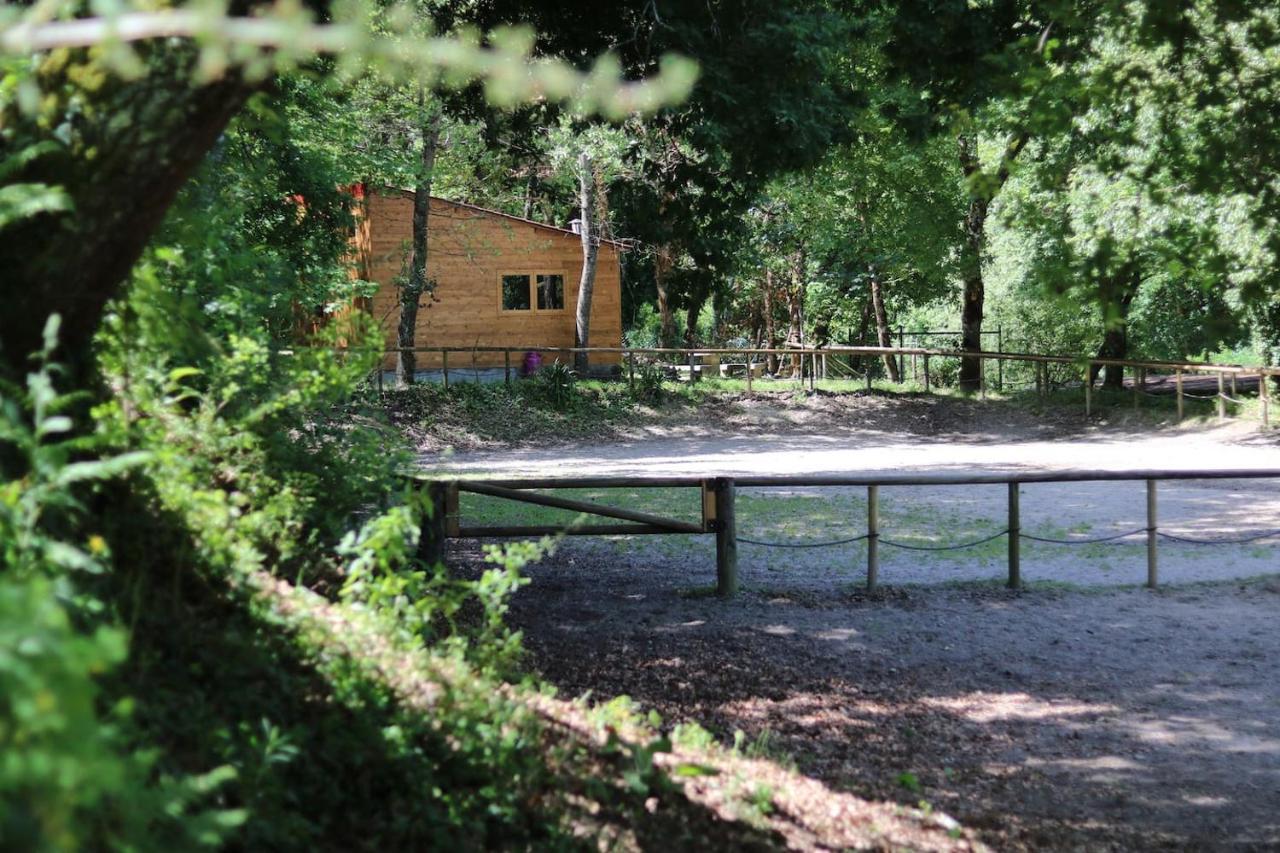 Chalet Quinta Do Castro Wood House Marco de Canaveses
