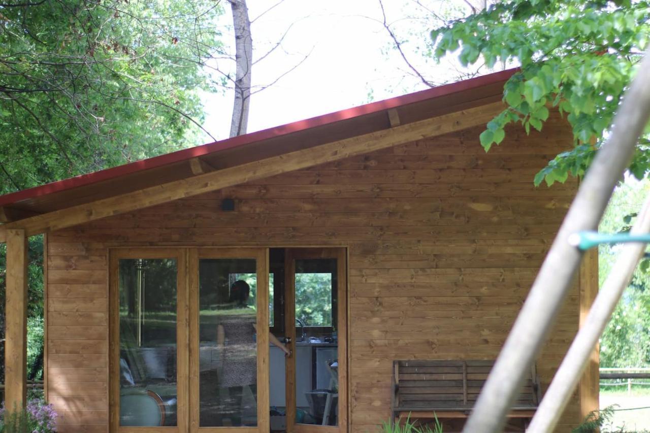 Chalet Quinta Do Castro Wood House *